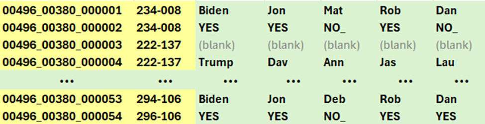 New ballots added to recount.png