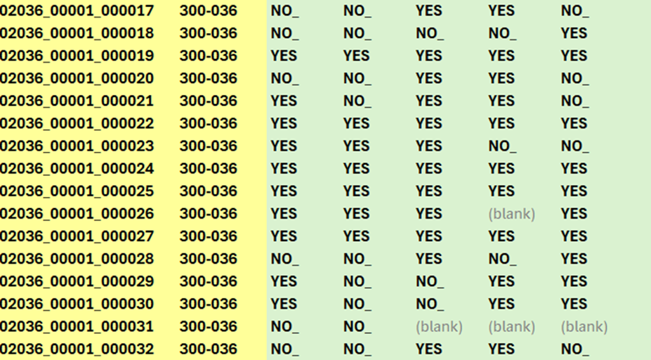 blank ballots removed